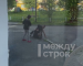 В центре Нижнего Тагила мужчины устроили драку на улице (ВИДЕО) 