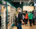 Федеральные ритейлеры хотят купить уральскую сеть продуктовых магазинов «у дома» «Жизньмарт»