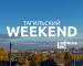 Тагильский weekend топ-6: мистические стихи, выставка кошек редчайших пород, вторая жизнь ваших джинсов и волейбол