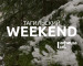 Тагильский weekend, топ-5: «Счастливый конь», семейный концерт и киномарафон