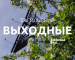Тагильские выходные топ-7: по следам северного оленя, «Мелодия на вылет», семейные игры, рэп-концерт и зрелищное мотошоу 
