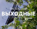 Тагильские выходные топ-7: по следам северного оленя, «Мелодия на вылет», семейные игры, рэп-концерт и зрелищное мотошоу 