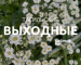 Тагильские выходные, топ-6: байк-фестиваль, автогонки на парковке и финал Чемпионата мира по футболу