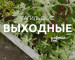 Тагильские выходные, топ-6: съёмка в кино для всех желающих, уральский рэп, встреча с профессором Стэнфордского университета, парад рыжих и погружение в роман «Вегетарианка»