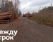 В Нижнем Тагиле бизнесмена оштрафовали за перевозку древесины без документов