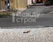 В Нижнем Тагиле белка прибежала проверить ход ремонтных работ на улице Газетной (ВИДЕО)