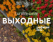 Тагильские выходные, топ-7: акустический блюз, игры с фразеологизмами, брайль-арт и легендарные французские кино-полицейские