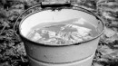 Под Ростовом пенсионерка утопила новорождённого внука в ведре