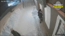 В Нижнем Тагиле разыскиваются подростки, которые разрисовали фасад здания (ВИДЕО)