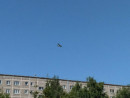 Зачем над Нижним Тагилом сегодня кружил «кукурузник»? Зачем над Нижним Тагилом сегодня кружил «кукурузник»?