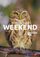 Тагильский weekend топ-10: Уральская индустриальная биеннале, концерт памяти Высоцкого и забег невест