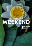 Тагильский weekend топ-10: плаваем на сапбордах, гуляем по историческим местам и смотрим отреставрированный киношедевр «Основной инстинкт»