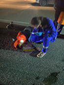 Сотрудники ГИБДД Нижнего Тагила выясняют обстоятельства необычного «ДТП» 