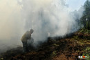 Площадь природных пожаров в Свердловской области увеличилась в три раза за сутки