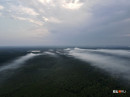 Площадь лесных пожаров в Свердловской области за сутки увеличилась на 2 тысячи га и превысила 5,5 тысячи га