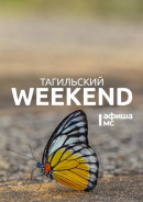 Тагильский weekend топ-11: «Кросс нации», конные скачки и лекция о мемах