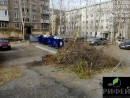 В Нижнем Тагиле ликвидировали 30 незаконных свалок рядом с законными