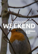 Тагильский weekend топ-11: плетём рождественский венок, идём на премьеры в кино и смотрим танго в филармонии