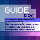 Guide PRO. Как законно срубить живую ель к Новому году и почему она экологичнее искусственной? Guide PRO. Как законно срубить живую ель к Новому году и почему она экологичнее искусственной?