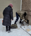 На Тагилстрое спасатели достали собаку из подвала магазина