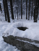 Ответила за базар. Под Нижним Тагилом рецидивист Шкаф в пьяном угаре убил свою возлюбленную из-за оскорбления Ответила за базар. Под Нижним Тагилом рецидивист Шкаф в пьяном угаре убил свою возлюбленную из-за оскорбления