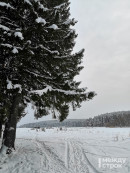 В первую рабочую неделю в Нижний Тагил вернутся морозы
