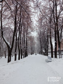 На Нижний Тагил надвигаются сильный снег и ветер На Нижний Тагил надвигаются сильный снег и ветер