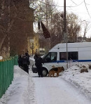 В Нижнем Тагиле из-за подозрительной коробки эвакуировали детский сад 