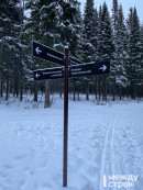 Полиция и дружинники будут защищать от вандалов новый парк на Пихтовых горах в Нижнем Тагиле 