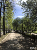 В Нижнем Тагиле в честь юбилея города высадят 300 деревьев В Нижнем Тагиле в честь юбилея города высадят 300 деревьев