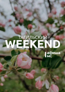 Тагильский weekend топ-13: библиодень, открытый микрофон и рыцарский турнир 