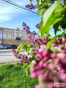 Тёплая и солнечная погода ждёт тагильчан на этой неделе 