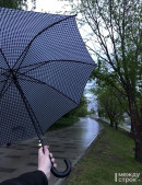 В Нижнем Тагиле до конца недели будет дождливо и тепло В Нижнем Тагиле до конца недели будет дождливо и тепло