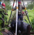 В Нижнем Тагиле спасатели вытащили из колодца телёнка (ВИДЕО)