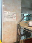 «Персонал на живность реагирует нормально». Тараканы атаковали столовую в администрации Нижнего Тагила «Персонал на живность реагирует нормально». Тараканы атаковали столовую в администрации Нижнего Тагила