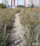 Жители Гальянки просят благоустроить тропинку к школе №100, но мэрия советует соблюдать ПДД и ходить в обход 