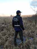 Любитель клюквы из Нижнего Тагила сутки блуждал по невьянским болотам