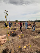 500 новых деревьев появилось в Нижнем Тагиле в 2022 году