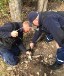 В Нижнем Тагиле спасатели достали из трубы застрявшего щенка