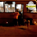 В Нижнем Тагиле агрессивный собаковод подрался с водителем автобуса после сделанного замечания