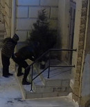 В центре Нижнего Тагила двое неизвестных попытались украсть три ёлки (ВИДЕО)