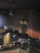 В Нижнем Тагиле из-за пожара в квартире задохнулись две собаки 