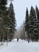 В Нижнем Тагиле на предстоящей неделе ожидаются морозы и снег