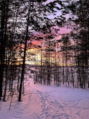 «Обращаемся к вам с нашей болью!» Жители Нижнего Тагила просят Владимира Путина остановить разработку карьера под Ленёвкой «Обращаемся к вам с нашей болью!» Жители Нижнего Тагила просят Владимира Путина остановить разработку карьера под Ленёвкой