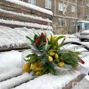 В Нижнем Тагиле на предстоящей неделе будет тепло днём и прохладно ночью
