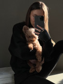 В Нижнем Тагиле хозяйка собаки обвинила грумера в насилии над животными