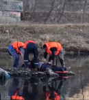 В Нижнем Тагиле пьяный мужчина упал с моста на улице Космонавтов В Нижнем Тагиле пьяный мужчина упал с моста на улице Космонавтов