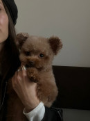 Полиция Нижнего Тагила начала проверку по обращению хозяйки собаки, которой стало плохо в зоомагазине-салоне на ГГМ Полиция Нижнего Тагила начала проверку по обращению хозяйки собаки, которой стало плохо в зоомагазине-салоне на ГГМ