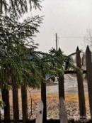 В Нижнем Тагиле на предстоящей неделе будет прохладно, возможны дожди