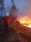 В Нижнем Тагиле в микрорайоне Валегин бор горел лес (ВИДЕО)